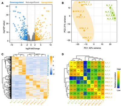 Transcriptome sequencing of facial adipose tissue reveals alterations in mRNAs of hemifacial microsomia